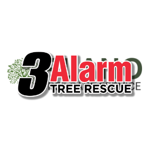 3 Alarm Tree Rescue