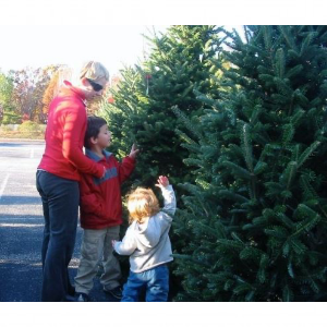 3 Guys Tree Farm