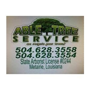 Able Tree Service