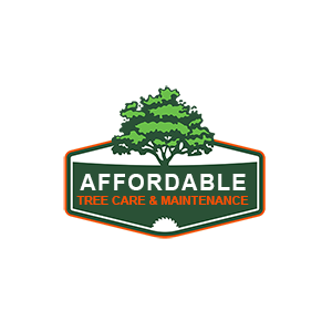 Affordable Tree Care and Maintenance