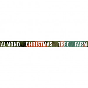 Almond Christmas Tree Farm