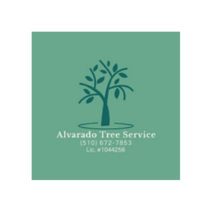 Alvarado Tree Service