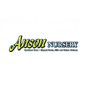 Anson Nursery