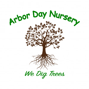 Arbor Day Nursery