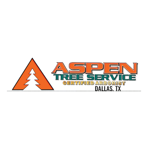 Aspen Tree Service