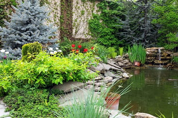 Backyard Pond Ideas