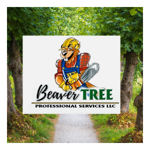 Beaver Tree Services