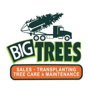 Big Tree Supply