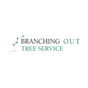 Branching Out Tree Service