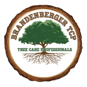 Brandenberger Tree Care Professionals