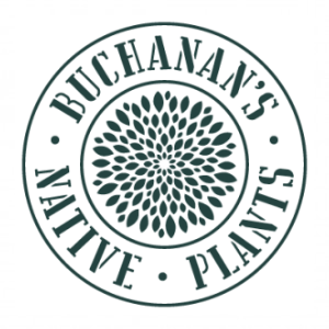 Buchanan's Native Plants