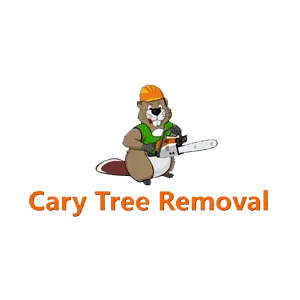 Cary Tree Removal