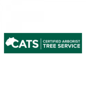 Certified-Arborist-Tree-Service