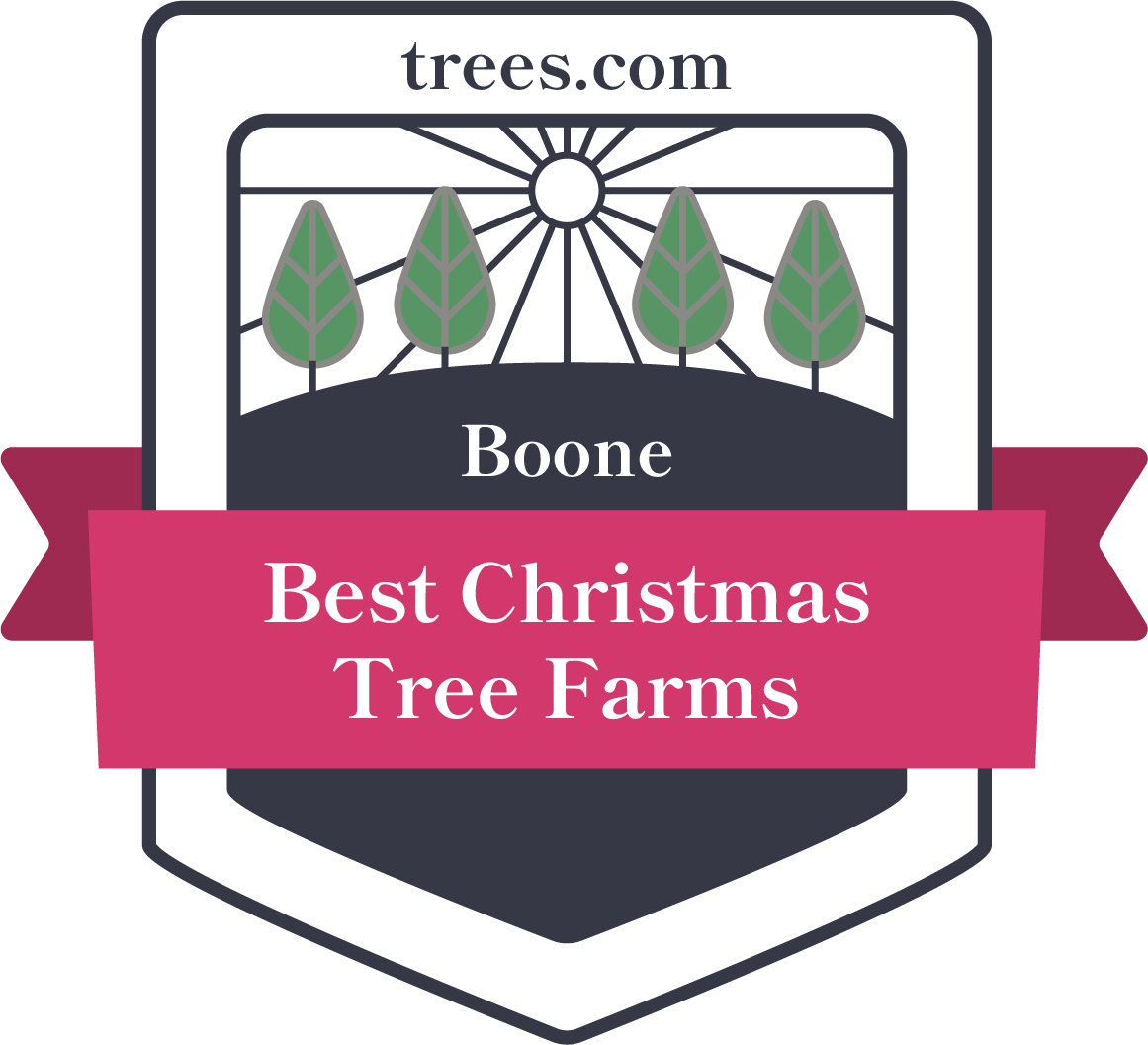 Christmas Tree Farm Boone Badge