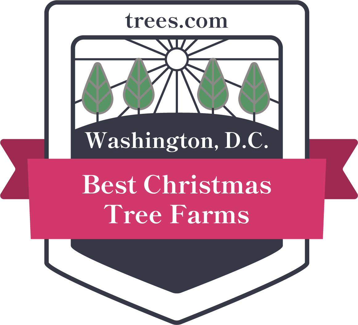 Christmas Tree Farm Washington, D.C. Badge