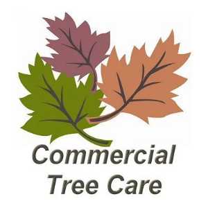 Commercial Tree Care