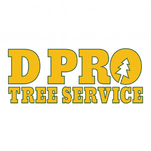 D Pro Tree Service