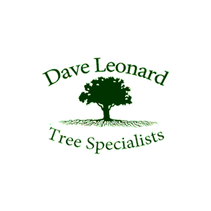 Dave Leonard Tree Specialists