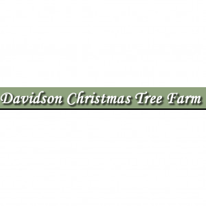 Davidson Christmas Tree Farm