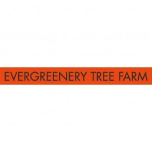 Evergreenery Tree Farm