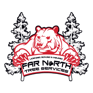 Far North Tree Services