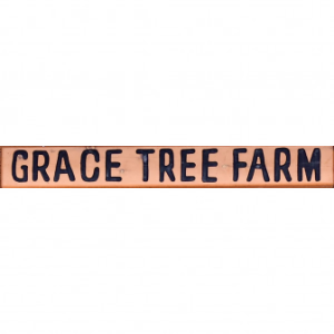 Grace Tree Farm