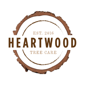 Heartwood