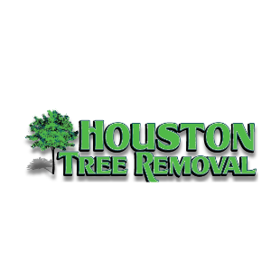 Houston Tree Removal