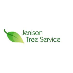 Jenison Tree Service