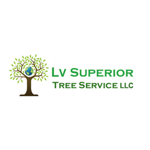 Las Vegas Superior Tree Service