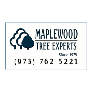 Maplewood Tree Experts