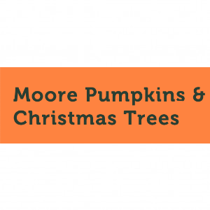 Moore Pumpkins _ Christmas Trees