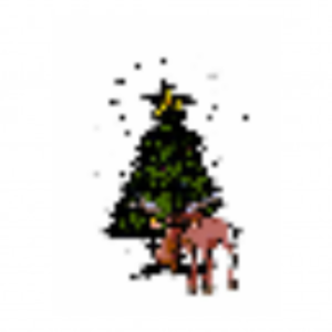 Moose Apple Christmas Tree Farm