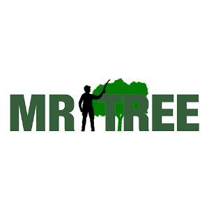 Mr. Tree