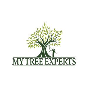 My Tree Experts