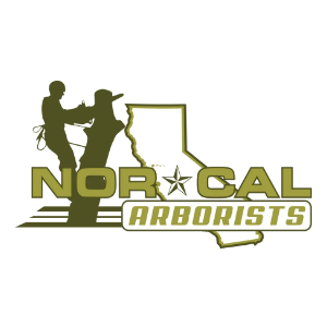 Norcal Arborists