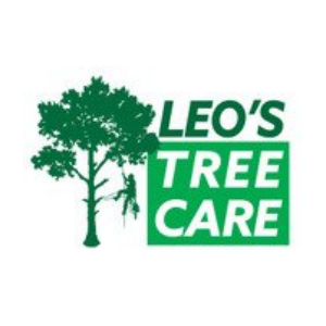 Philadelphia Tree Service Experts