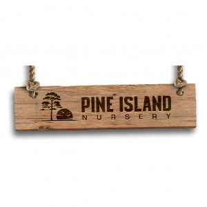 Pine Island Nursery