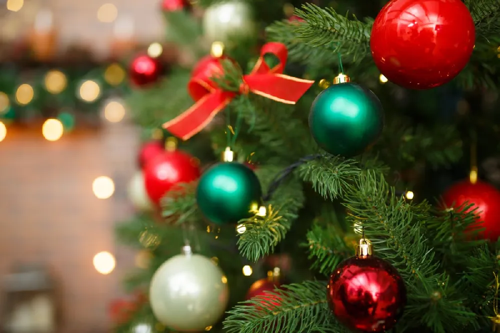 Pine Tree - Decorated With Lights