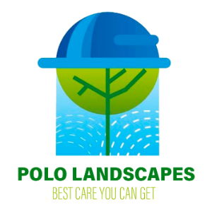 Polo Landscapes