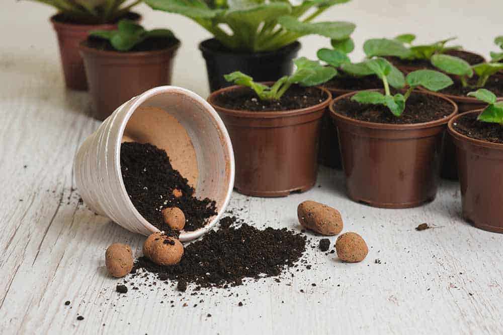 Potting Soil