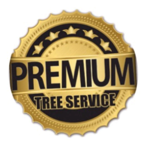 Premium Tree Services