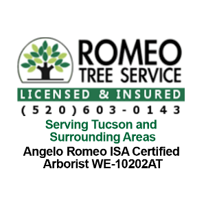 Romeo Tree Service