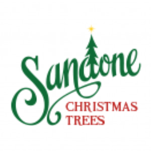 Sandone Christmas Trees