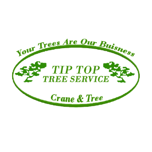 Tip Top Tree Service