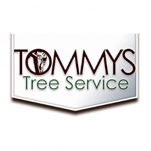 Tommy's Tree Service