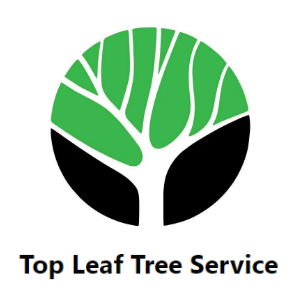 Top Leaf Tree Service