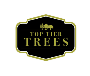 Top Tier Trees