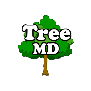 Tree MD