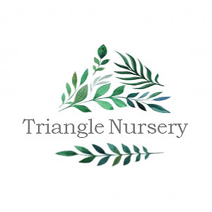 Triangle Nursery